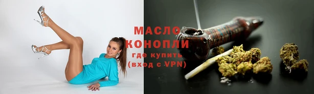 стафф Аркадак
