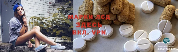 стафф Аркадак